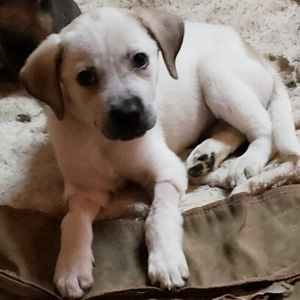 Meet your Posher, Aimee